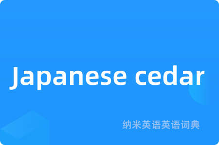 Japanese cedar